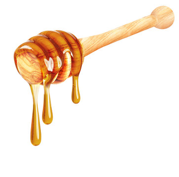 dripping honey isolated on a white background