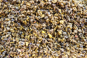 Texture of dry green tea. Can be used as food or nature background