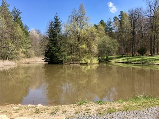 Fototapeta na wymiar Lake in Schönbuch Forest
