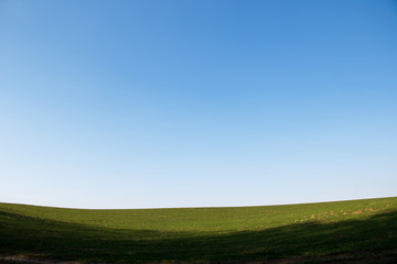 landscape with blue sky and green grass