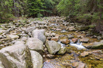 View of the Mumlava river in Czech Republic