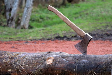 Axe in a wooden log