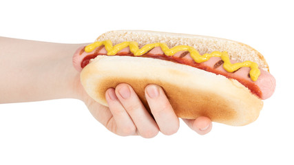 Hand holding hot dog with mustard isolated on white background. Сlipping path