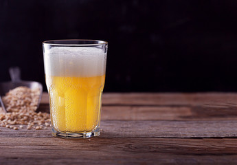 Homemade craft beer in a glass, dark wooden background