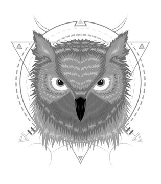 Portrait of an owl. Owls Head. Abstract bird. Print. Profile. Decorative. Stylized. Line art. Black and white. Isolated. Tattoo.