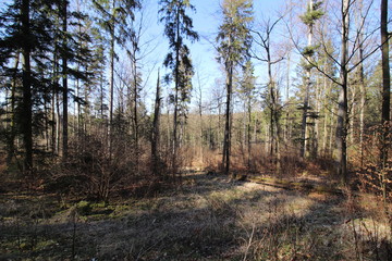 Fototapeta premium Landschaften aus Oberfranken im Fühling