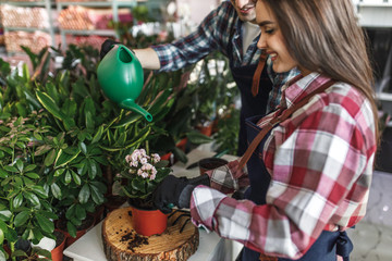 Two young workers in blue apron spend time and help each other to plants flowers in a pot