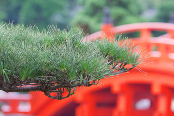 31 May 2008 the red bridge Nan Lian Garden, Kowloon, hk