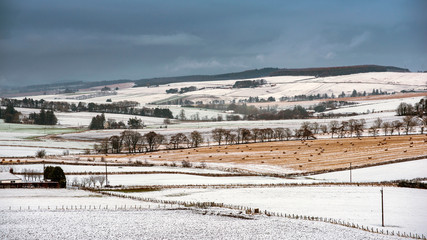 Huntly Winter Fields