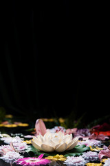 Arrangement of wellness spa flowers