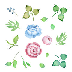 Floral Watercolor Set. Flowers. Roses Bouquet. Pink and Blue Roses. Floral illustration. Leaves and buds. Pink flowers. Blue Berries. Botanic elements for wedding or greeting cards or your own pattern - 336096058