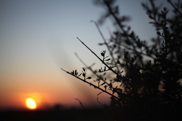 puesta del sol en el campo