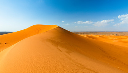 Fototapeta na wymiar Sand Dunes in the Desert