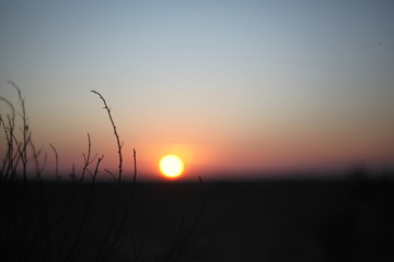 puesta del sol en el campo