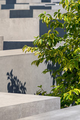 A tree growing between concrete blocks symbolizes nature's resilience to thrive amid apparently...