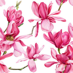 Obraz na płótnie Canvas seamless pattern of pink magnolia on an isolated white background, watercolor flowers