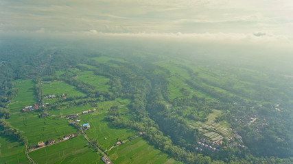 Obraz premium Beautiful view of the rice terraces in Bali