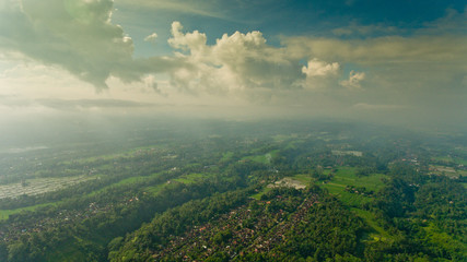 Naklejka premium Beautiful view of the rice terraces in Bali