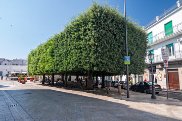 Panoramic view of the central square of Alberobello in Puglia, Italy.