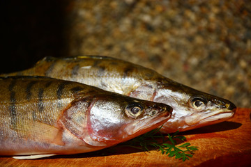 fresh fish on the market