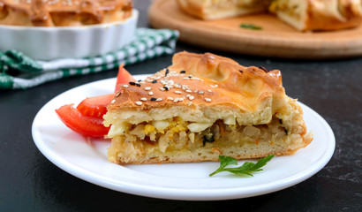 Cabbage pie. Piece of tasty freshly baked homemade vegetable pie with cabbage, spinach, eggs and sesame seeds.