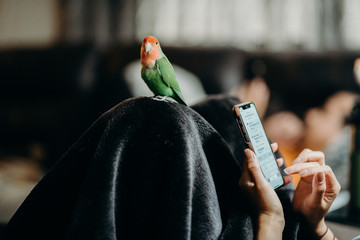 Woman liviing with Lovebird on hand with smart phone in livingroom.