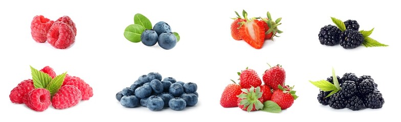 Set of different ripe berries on white background. Banner design