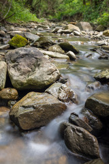 Naklejka na ściany i meble Photo of nature - Long exposure of a mountain stony creek inside in the forest. Small mountain rocky river.