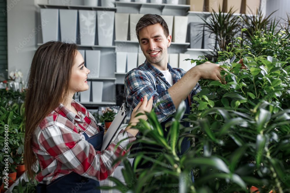 Wall mural Gardener concept, two workers in special apron working in garden center or greenhouse, girl with folder checking exotic plants