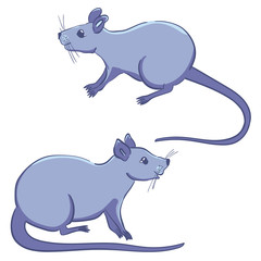 World rat day. Flat vector stock illustration