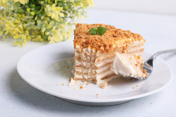 cake Napoleon on a white plate