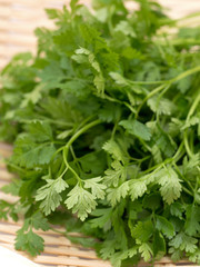 ハーブ　チャービル
