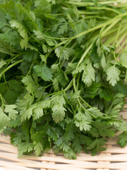 ハーブ　チャービル
