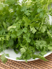 ハーブ　チャービル
