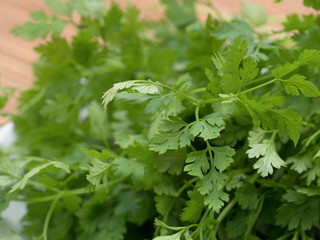 ハーブ　チャービル
