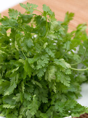 ハーブ　チャービル
