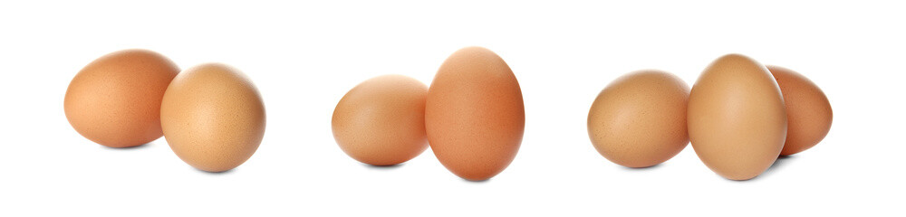 Set of raw chicken eggs on white background. Banner design