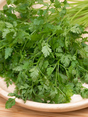 ハーブ　チャービル
