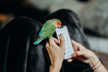 Woman liviing with Lovebird on hand with smart phone in livingroom.