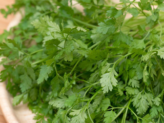 ハーブ　チャービル
