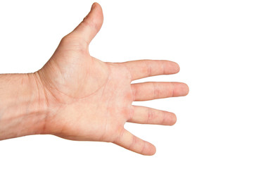 human hand on a white background