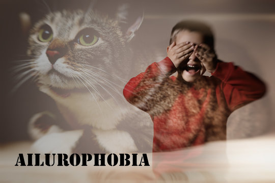 Little boy suffering from ailurophobia. Irrational fear of cats