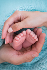 baby feet in mothers  and father hands