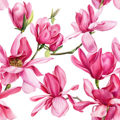seamless pattern of pink magnolia on an isolated white background, watercolor flowers © Hanna