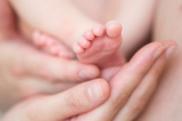 Obraz na płótnie Canvas newborn baby feet in mother hands