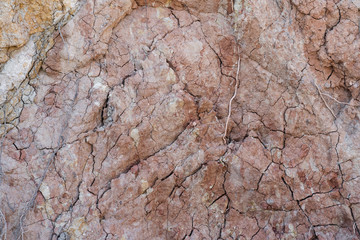 Texture of natural rock shell of rocky rock, marine life structure with limestone and traces of erosion.