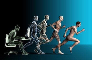 Sitting man, walking and running man with muscles and skeleton, 3D illustration