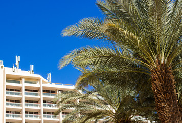 Fototapeta premium summer resort destination white hotel apartment building and palm tree tropic park outdoor scenic yard and blue sky background vacation season