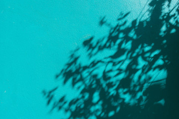 Fototapeta na wymiar abstract background of shadow leaf on green concrete background