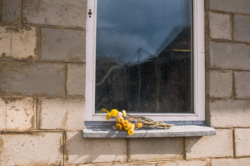 yellow dry flowers on the window, yellow dry immortal view from afar, still life with yellow dry flowers, bouquet of yellow dry flowers immortal